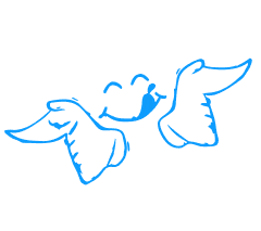 An Image of a product of Surf n' Turf